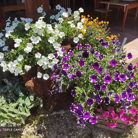 Bed & Breakfast Antiche Dimore