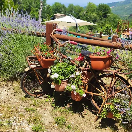 Antiche Dimore Bed & Breakfast