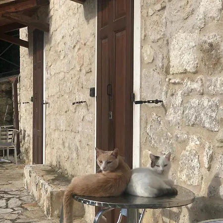 Bed and Breakfast Antiche Dimore