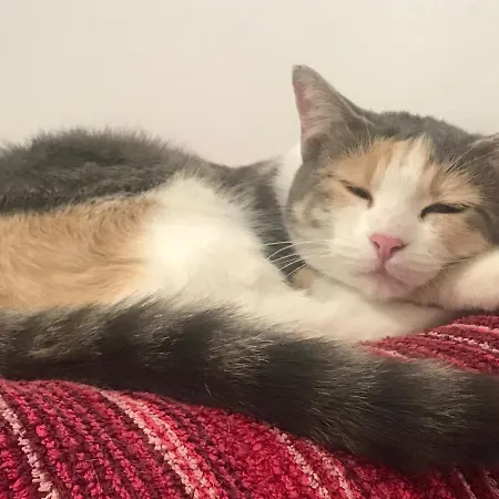 Antiche Dimore Bed & Breakfast 3*