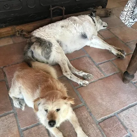 Bed & Breakfast Antiche Dimore Abbateggio