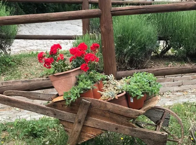 Antiche Dimore Bed & Breakfast