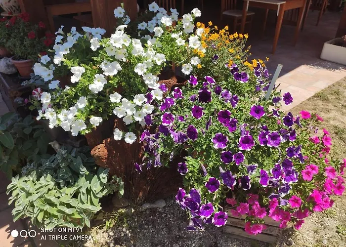 Bed & Breakfast Antiche Dimore