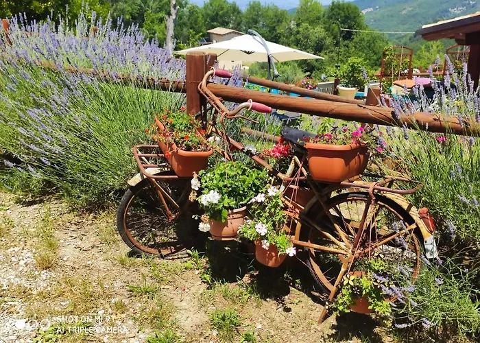 Antiche Dimore Bed and Breakfast