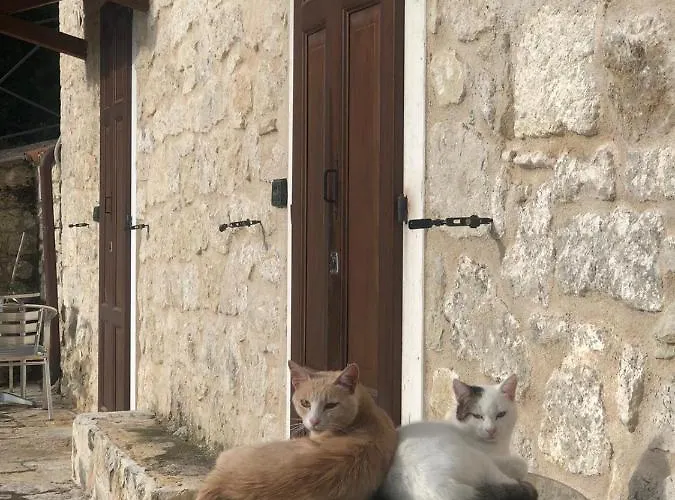 Bed & Breakfast Antiche Dimore