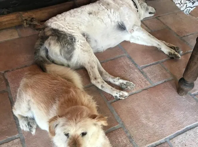 Bed & Breakfast Antiche Dimore Abbateggio